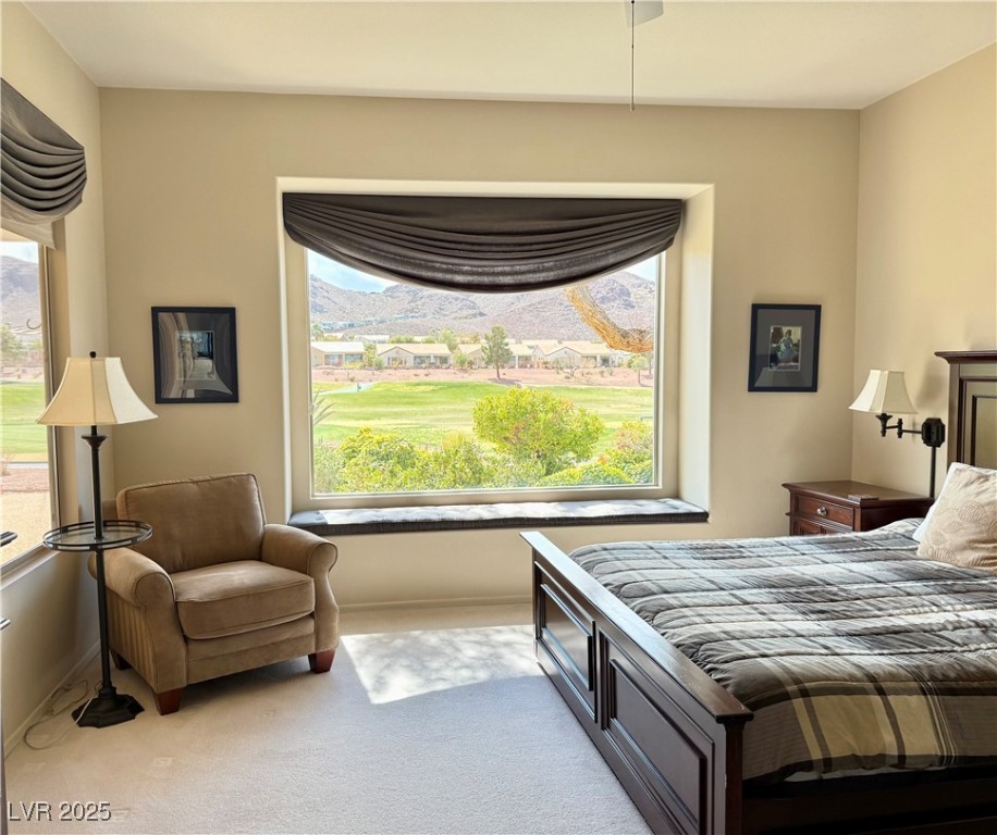 547 Mountain Links Drive Property Photo 14
