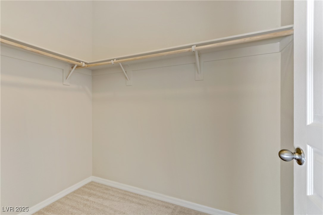 7659 Dewy Falls Avenue Property Photo 22