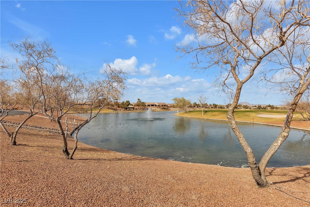2101 Desert Woods Drive Property Photo 33