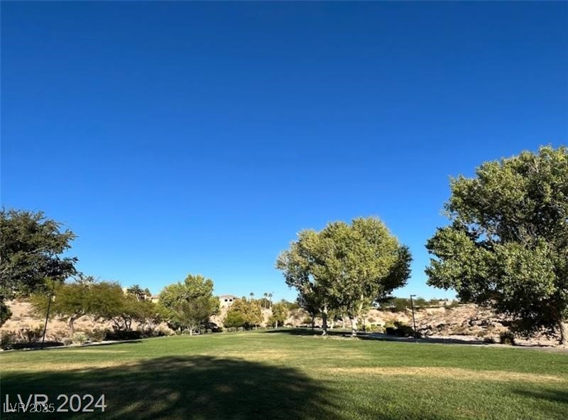 628 Chase Tree Street Property Photo 25