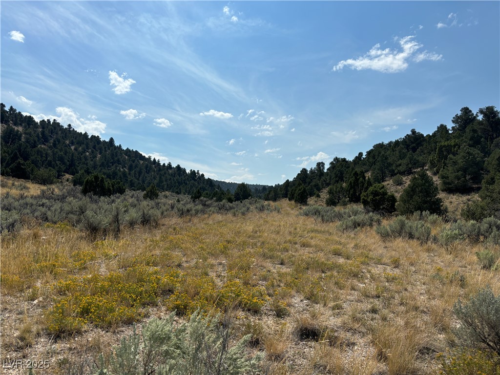 1 Ice Plant Property Photo 27