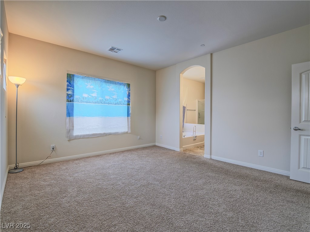 372 Monique Springs Street Property Photo 13
