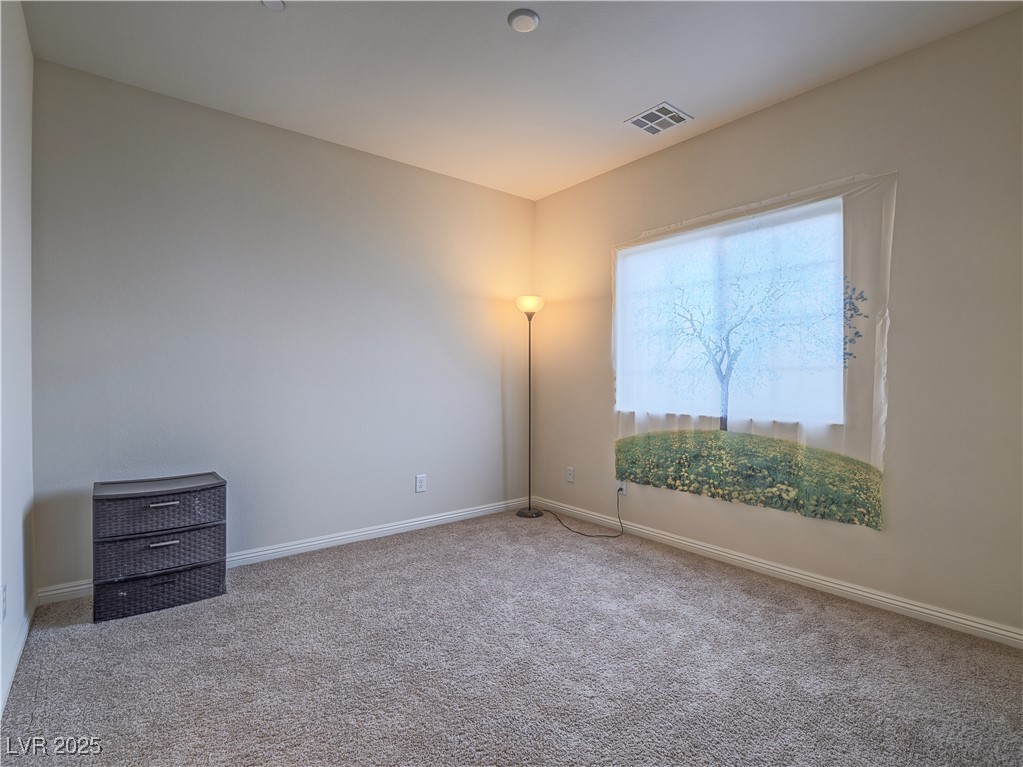 372 Monique Springs Street Property Photo 14