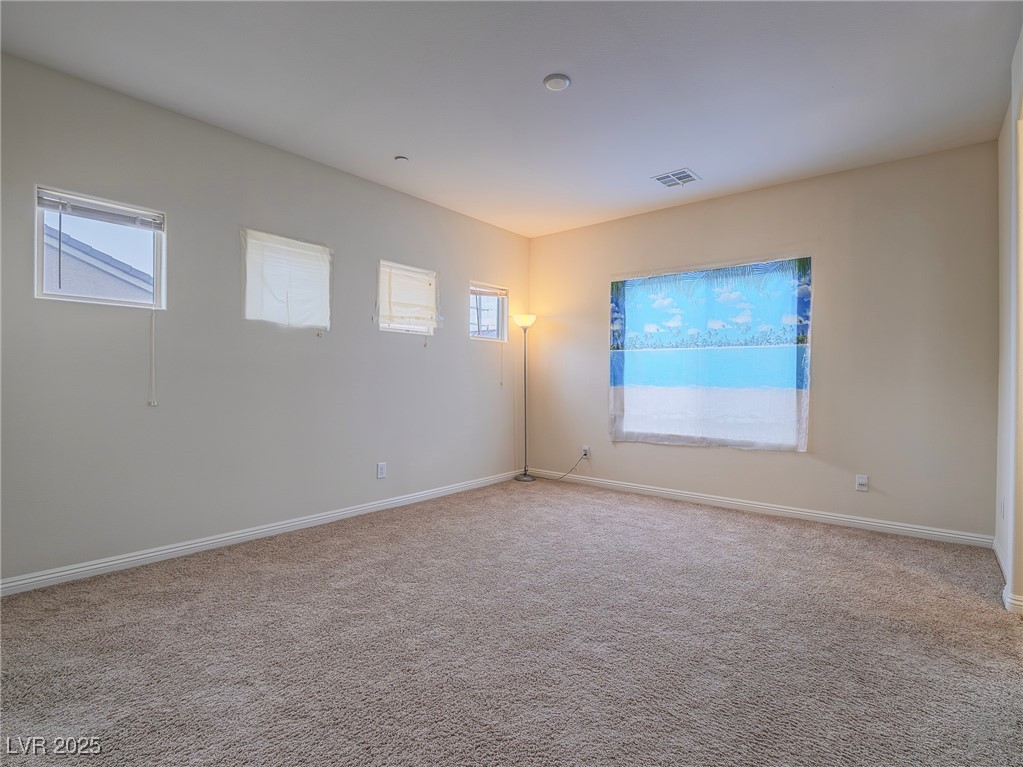 372 Monique Springs Street Property Photo 18
