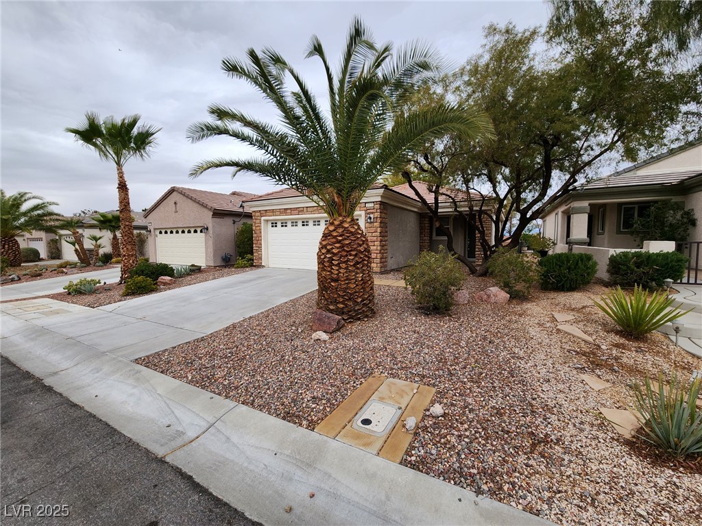 2510 Evening Twilight Avenue Property Photo 2