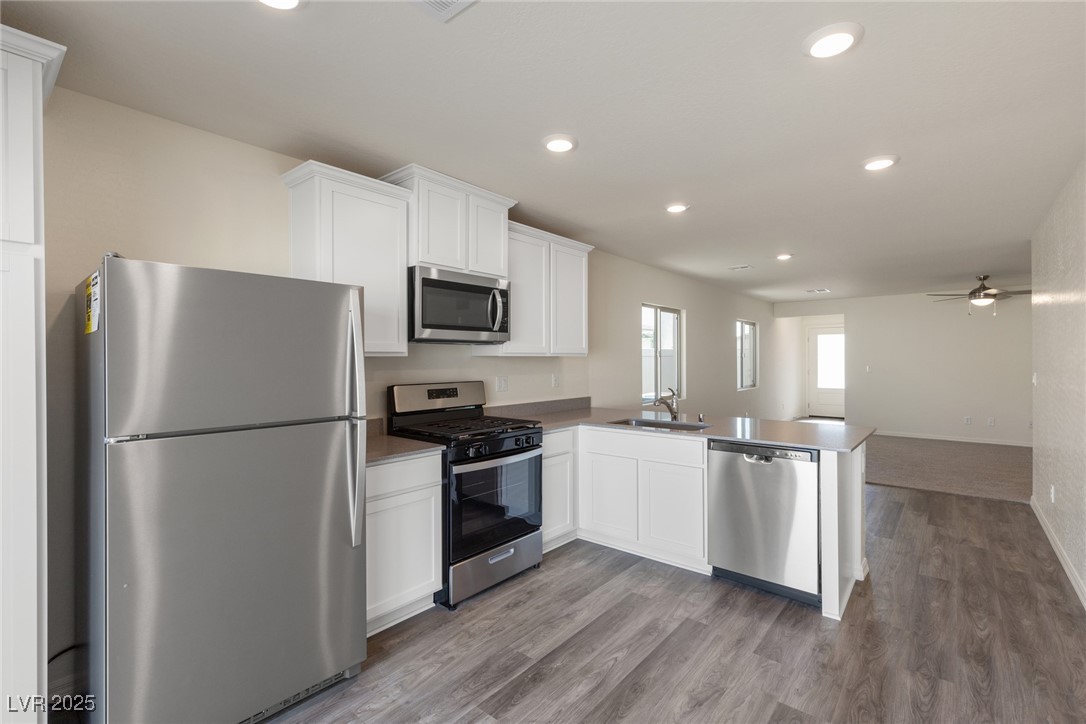 2728 Pavehawk Way Property Photo 2