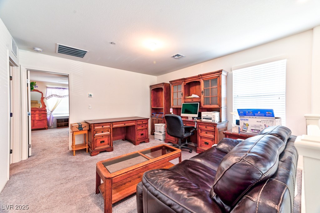 6046 Castle Gardens Avenue Property Photo 24