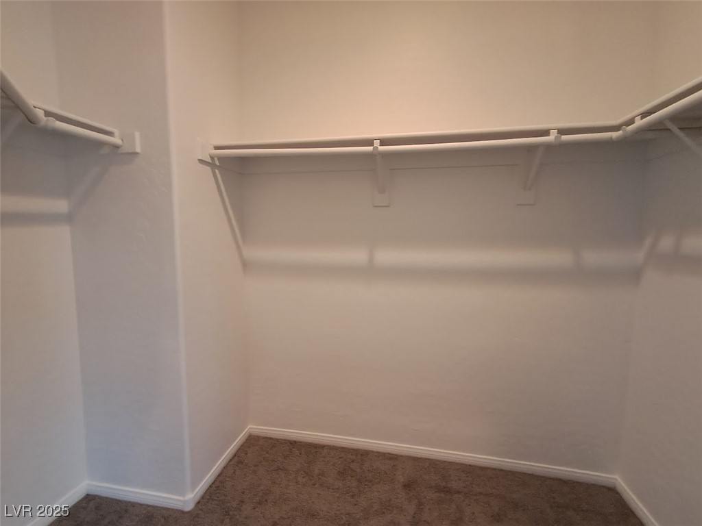 690 Calamus Palm Place Property Photo 15