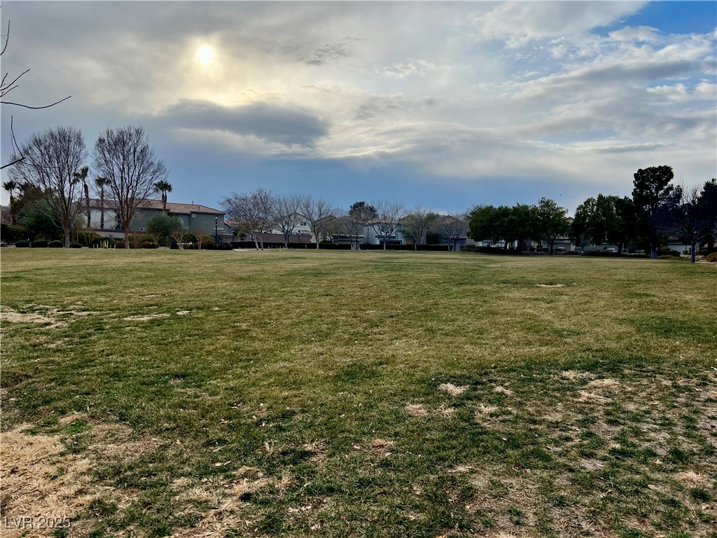 9553 Madsen Glen Court Property Photo 16