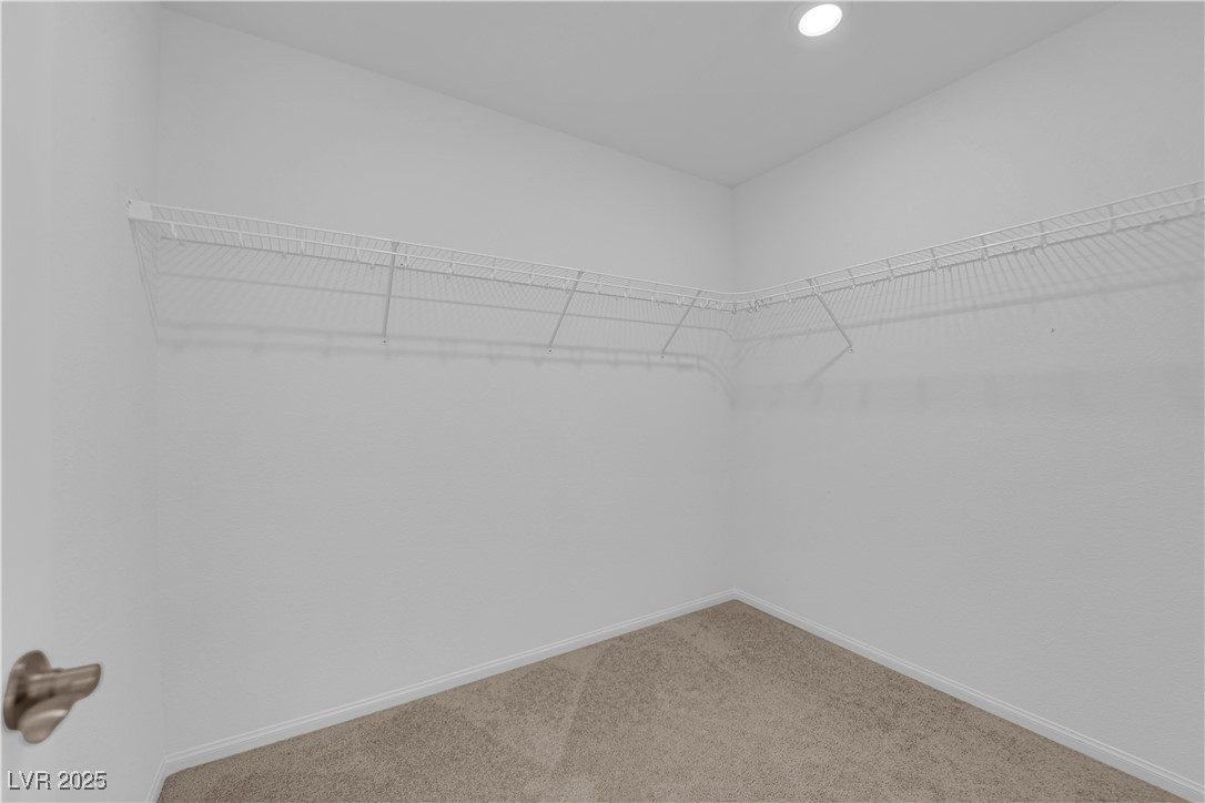 10375 Rose Palisade Street Property Photo 41
