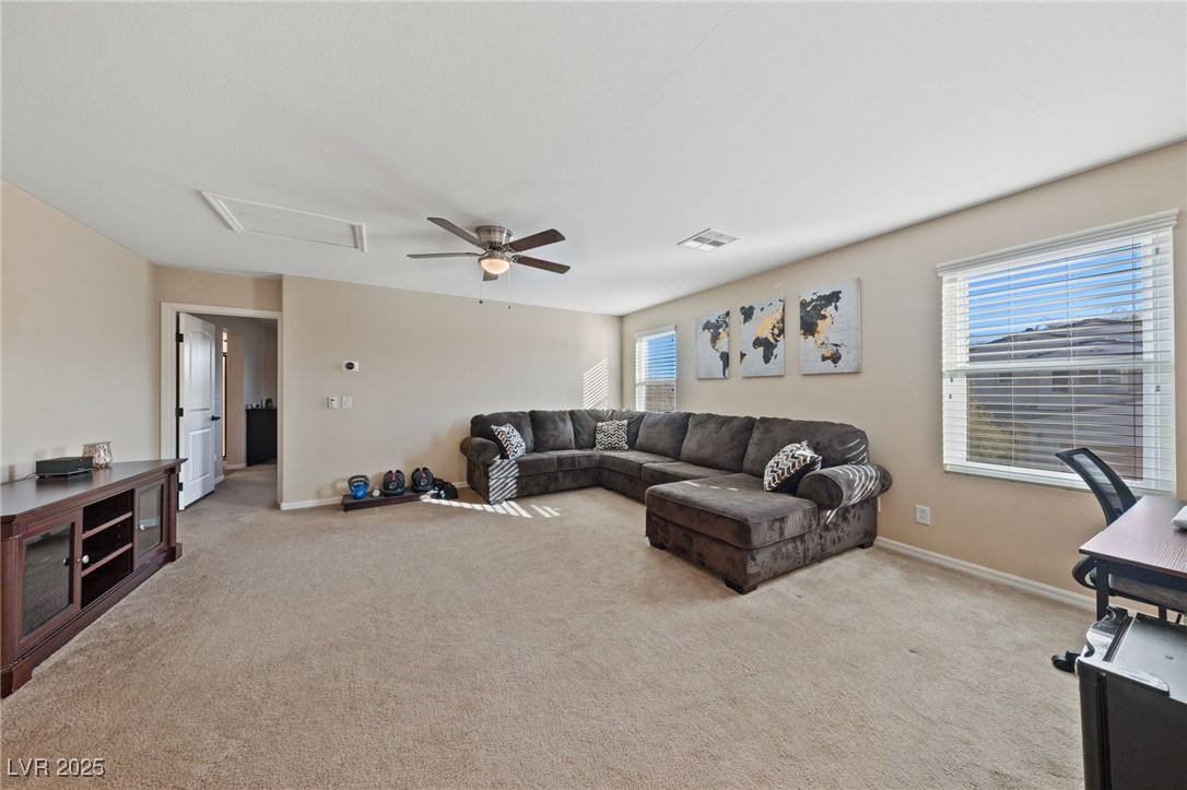 11290 Hazel Rock Street Property Photo 20