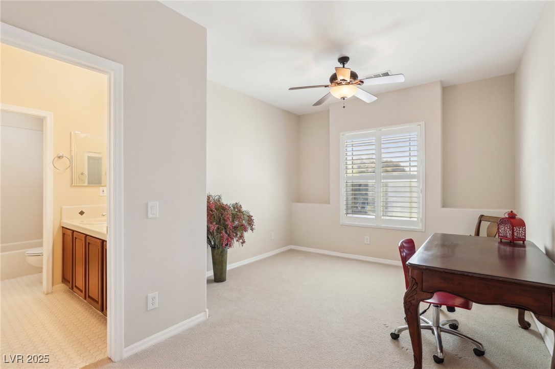 12 Oro Valley Drive Property Photo 43