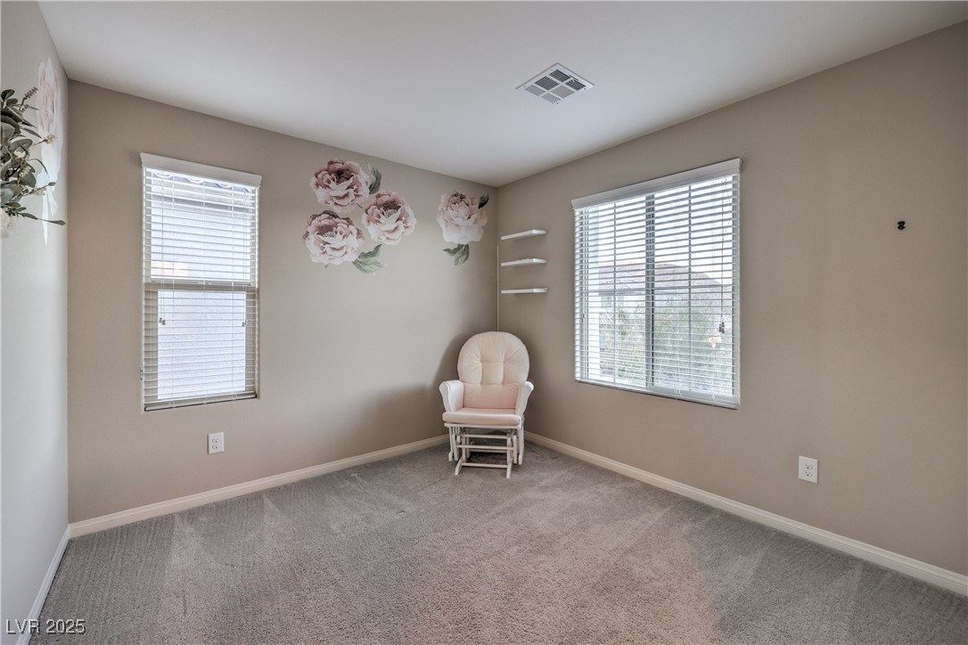 3213 Molinos Drive Property Photo 43