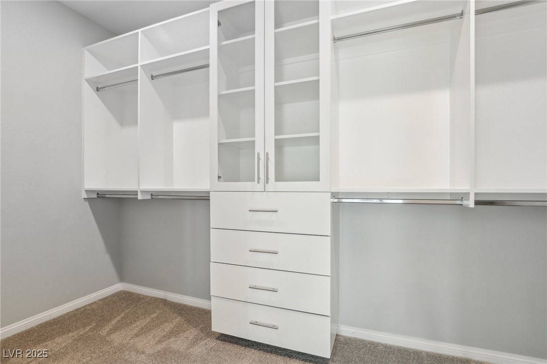 11579 Salt Creek Avenue Property Photo 38