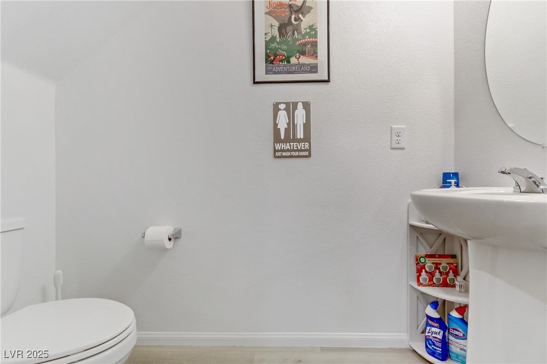 10691 Sariah Skye Avenue Property Photo 19