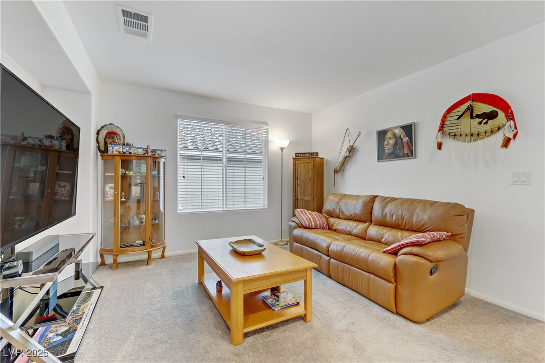 10691 Sariah Skye Avenue Property Photo 22