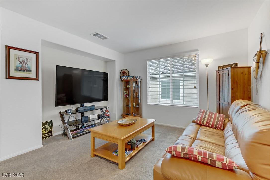 10691 Sariah Skye Avenue Property Photo 23
