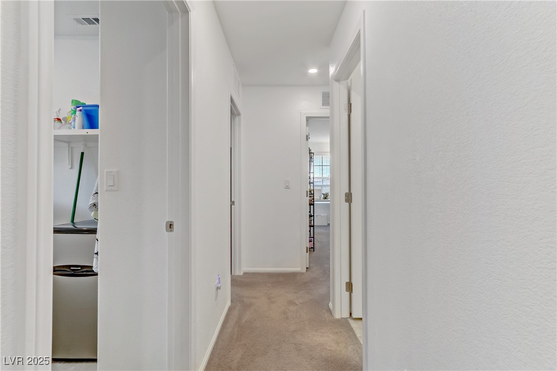 10691 Sariah Skye Avenue Property Photo 35