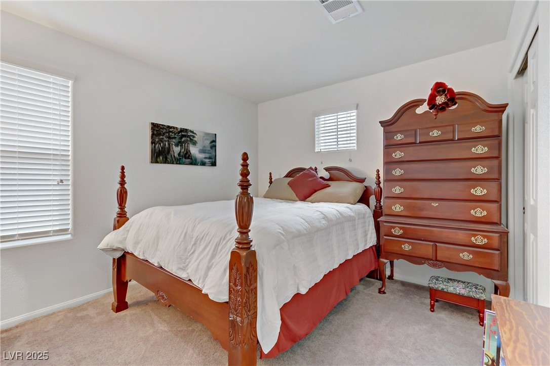 10691 Sariah Skye Avenue Property Photo 39