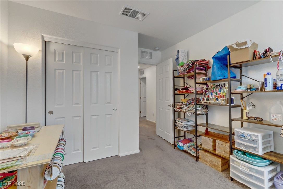 10691 Sariah Skye Avenue Property Photo 43