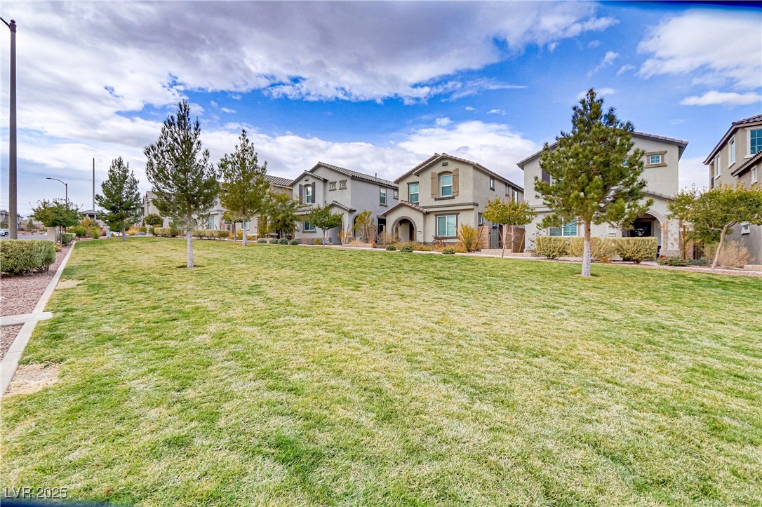 10691 Sariah Skye Avenue Property Photo 60