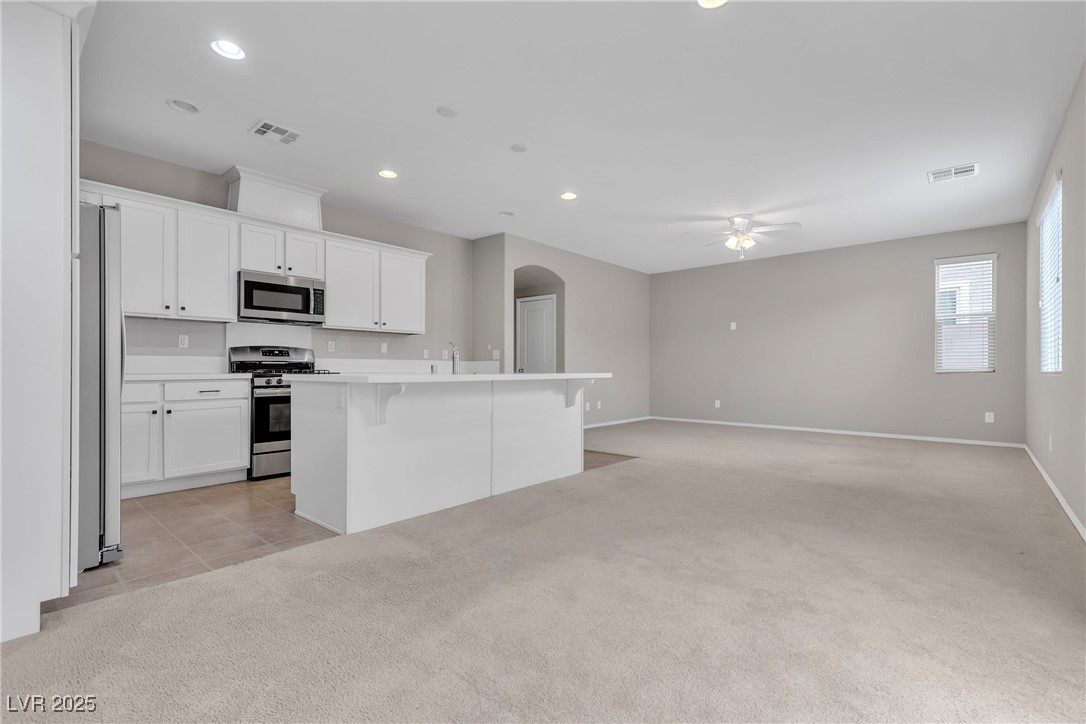 5233 Fiery Sky Ridge Street Property Photo 17