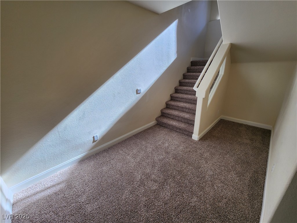 11237 Campsie Fells Court Property Photo 20