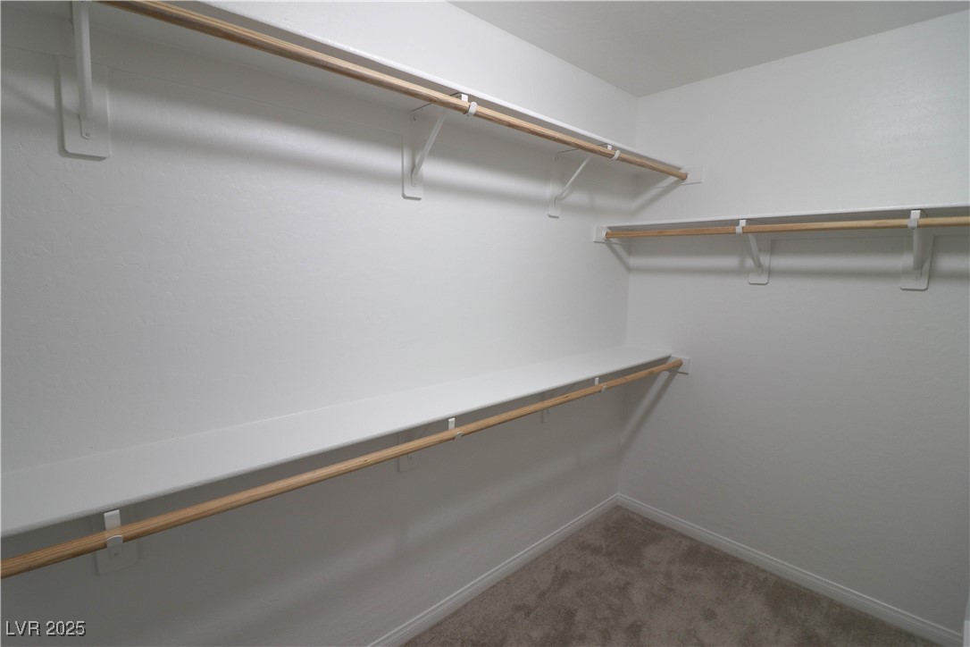 242 Botanic Gardens Drive Property Photo 36