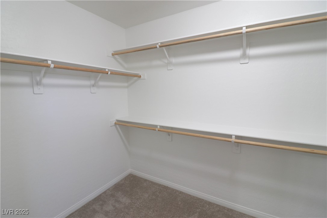 242 Botanic Gardens Drive Property Photo 38