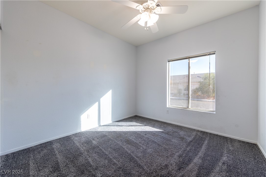2915 Rippling Springs Street Property Photo 24