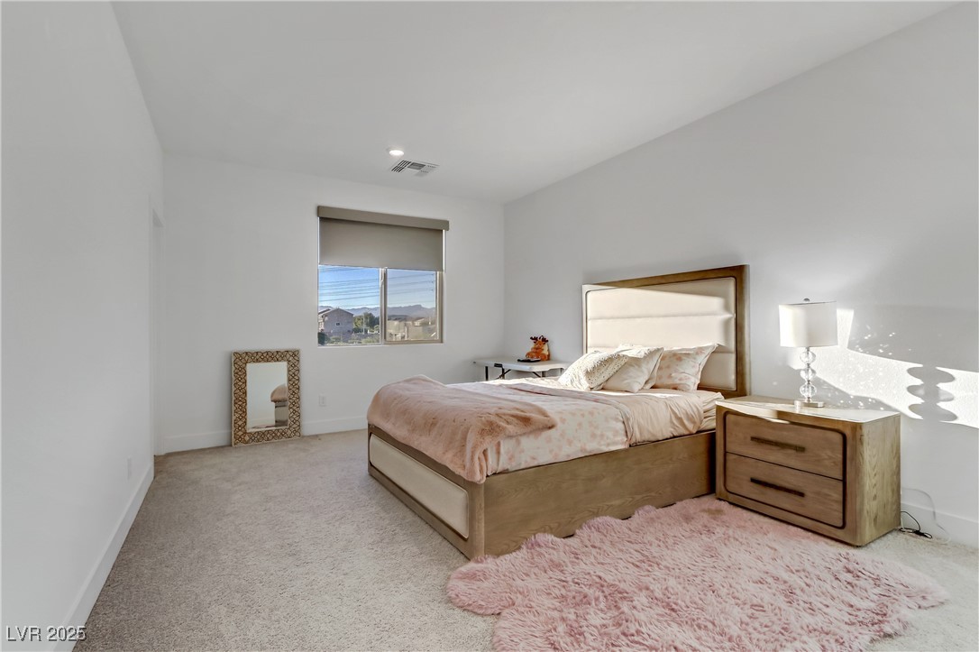 10116 Rebel Coast Street Property Photo 23