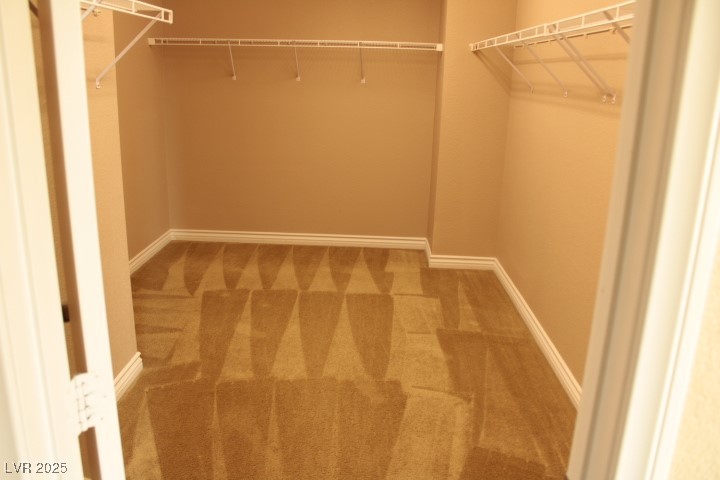 7521 Fontera Court Property Photo 22