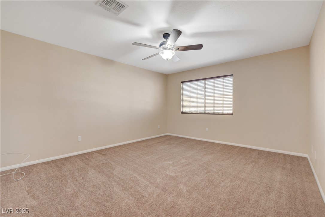 3359 Shallow Pond Drive Property Photo 46