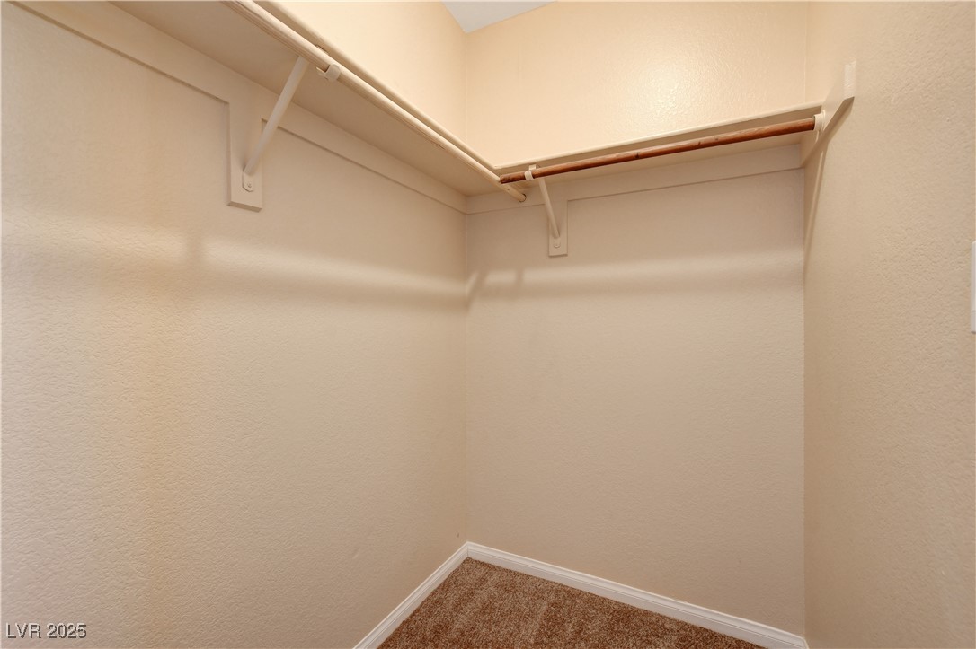 3359 Shallow Pond Drive Property Photo 48