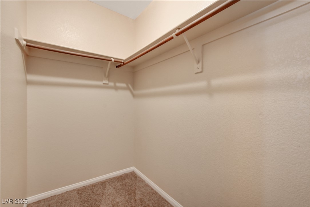 3359 Shallow Pond Drive Property Photo 51