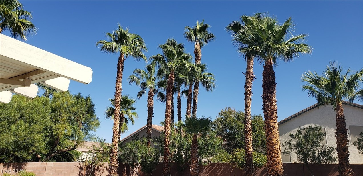 494 Donavista Court Property Photo 28