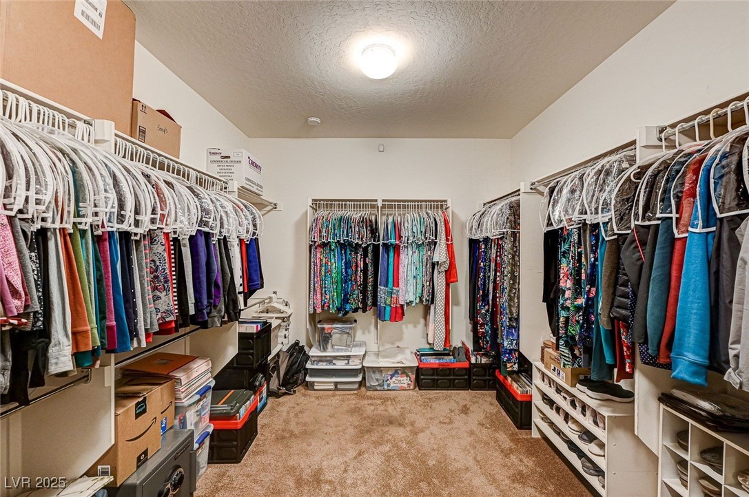 5615 Criollo Drive Property Photo 17