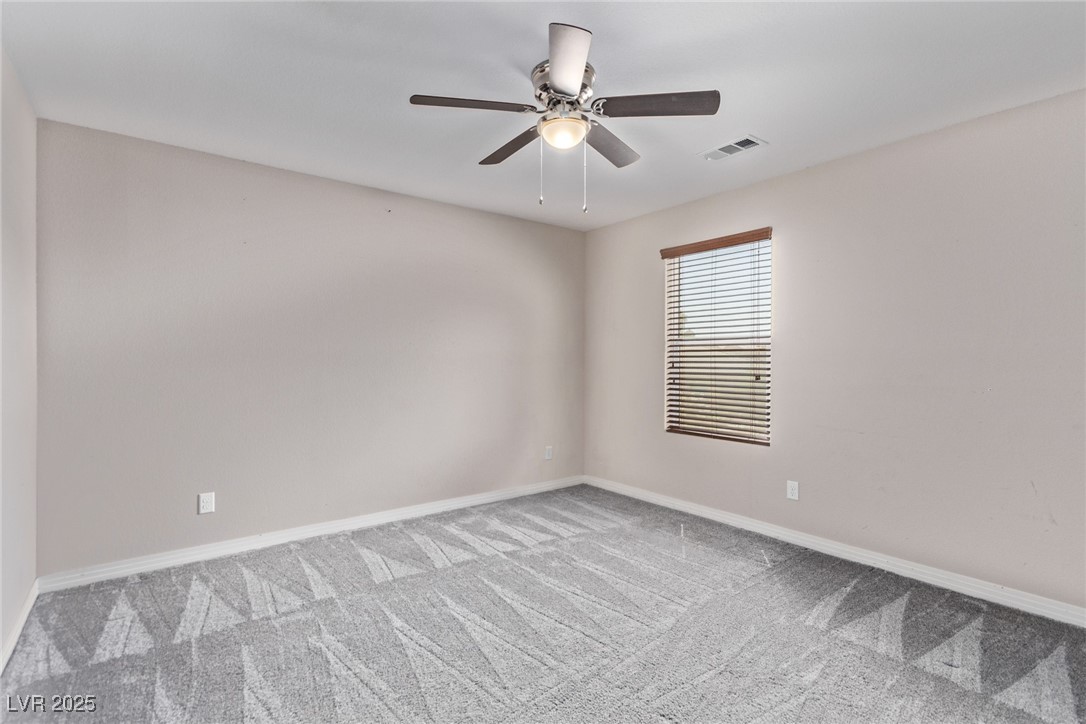 1136 Buckhorn Cove Street Property Photo 41