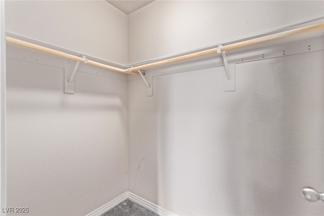 1136 Buckhorn Cove Street Property Photo 44