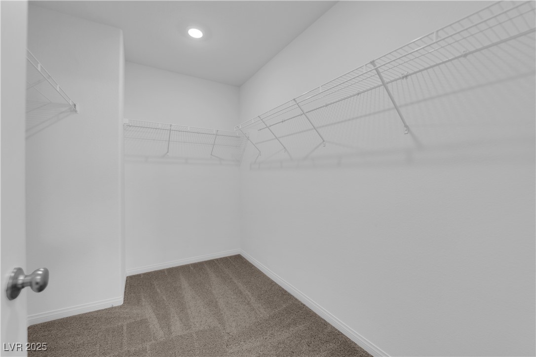 4121 Texas Lilac Avenue Property Photo 26