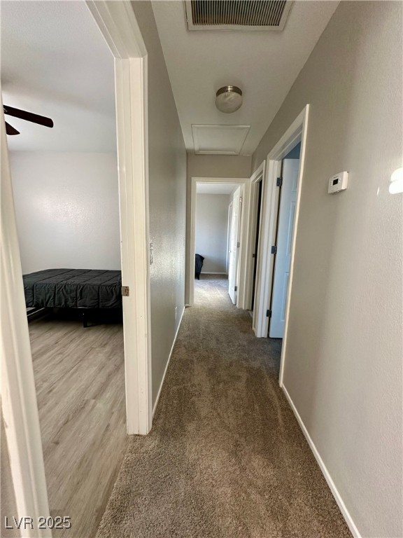7732 Hand Woven Court Property Photo 19