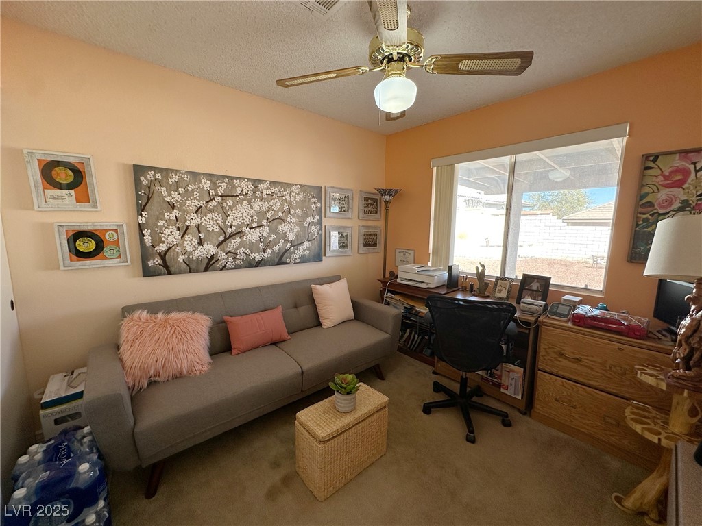 3254 Cactus Springs Drive Property Photo 30