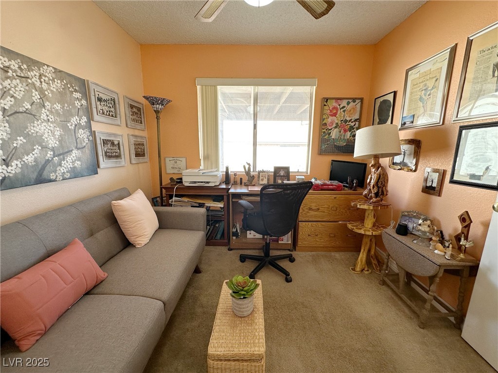 3254 Cactus Springs Drive Property Photo 31