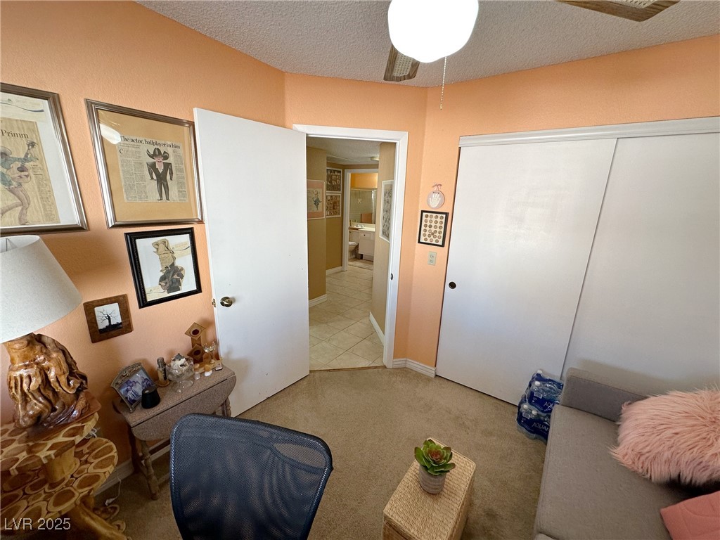 3254 Cactus Springs Drive Property Photo 33