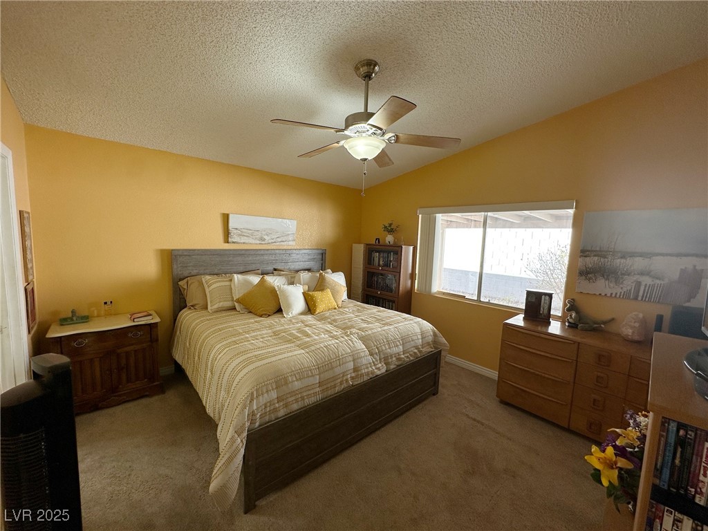 3254 Cactus Springs Drive Property Photo 35