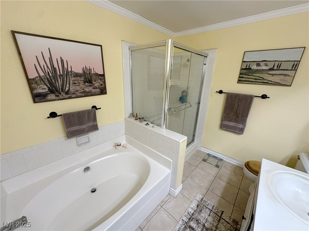 3254 Cactus Springs Drive Property Photo 41