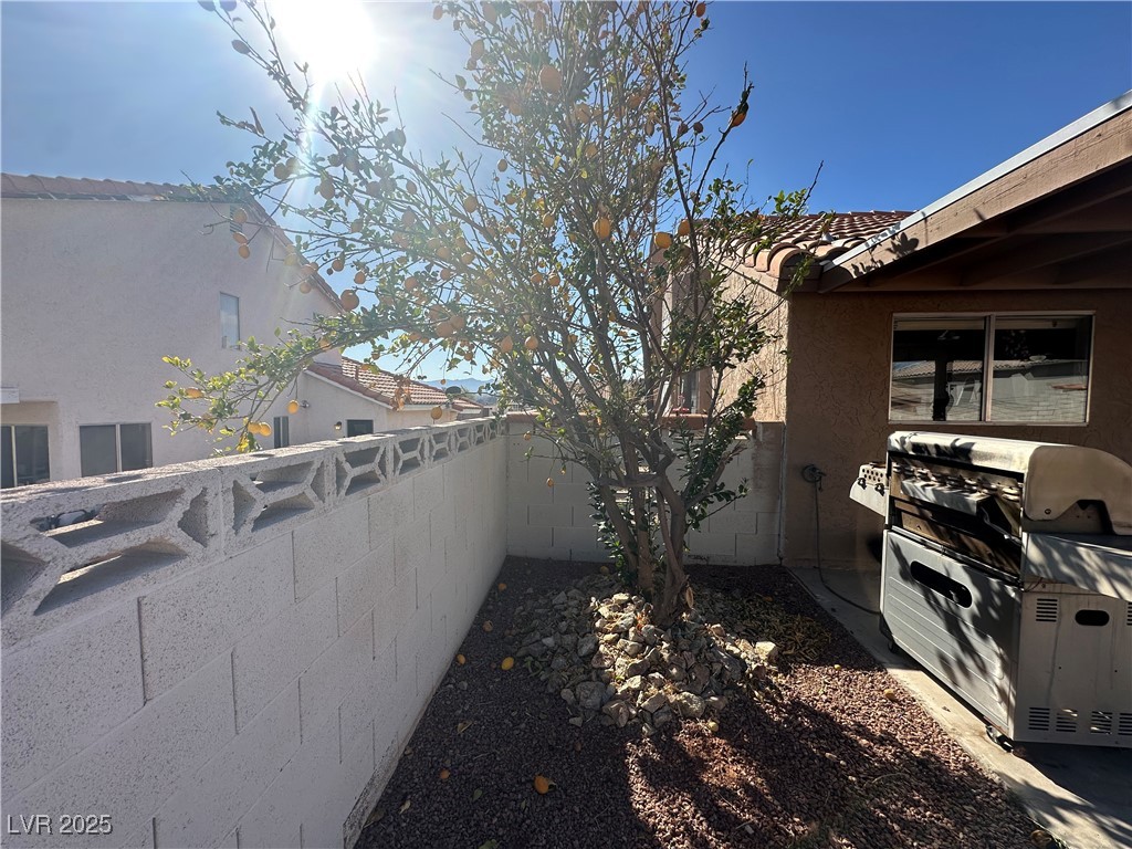 3254 Cactus Springs Drive Property Photo 52