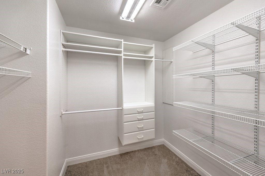 1240 Fragrant Spruce Avenue Property Photo 38