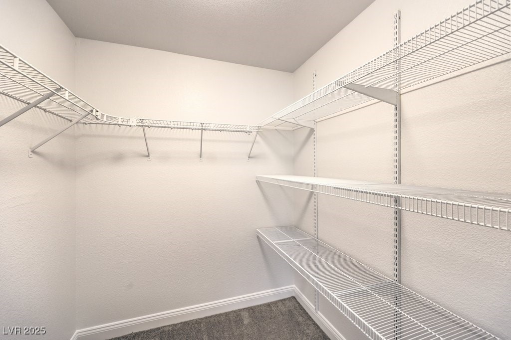 1240 Fragrant Spruce Avenue Property Photo 42