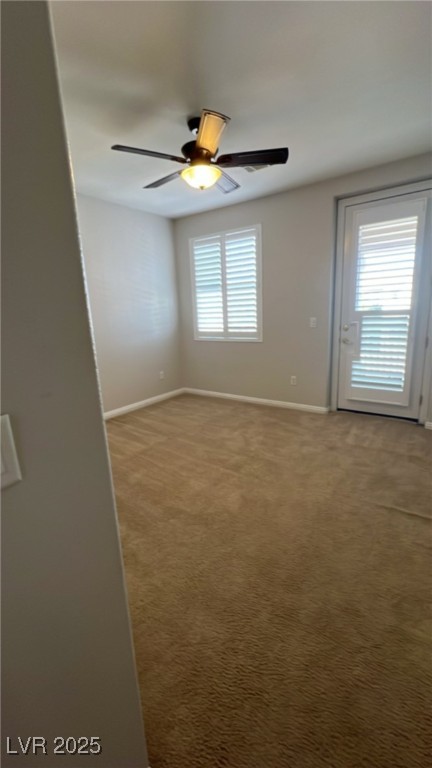 305 Onyx Crest Street Property Photo 41